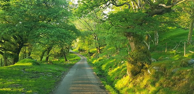 Home. big wales path